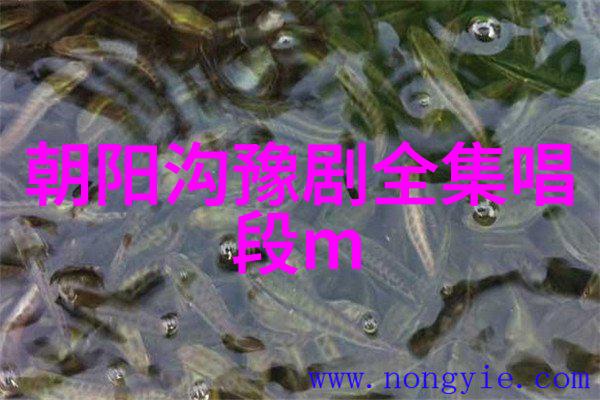 豫东调的早期科班柘城县大公议班